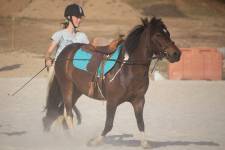 Astrid USAI - Donatella